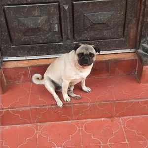 Meet your Posher, Olga